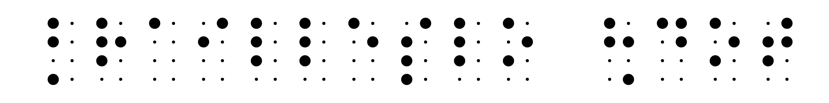 BrailleSlo 8dot