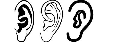 Ear