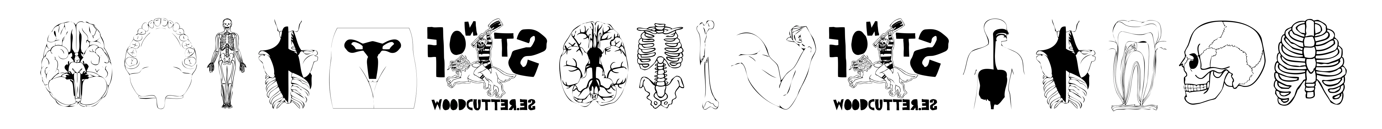 Human Body Parts