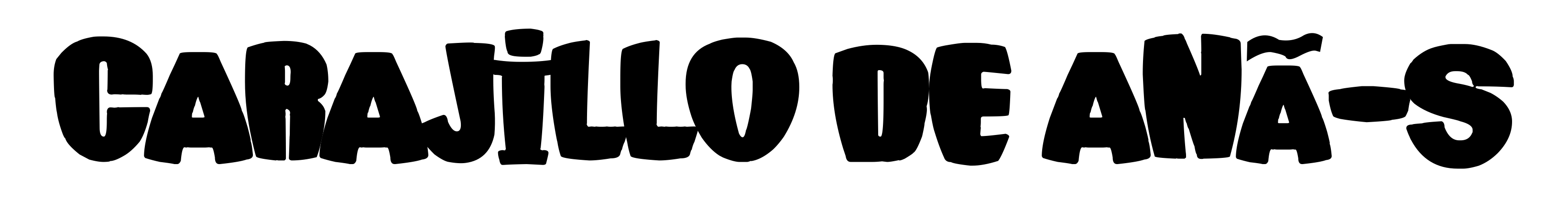 Carajillo de AnÃ­s