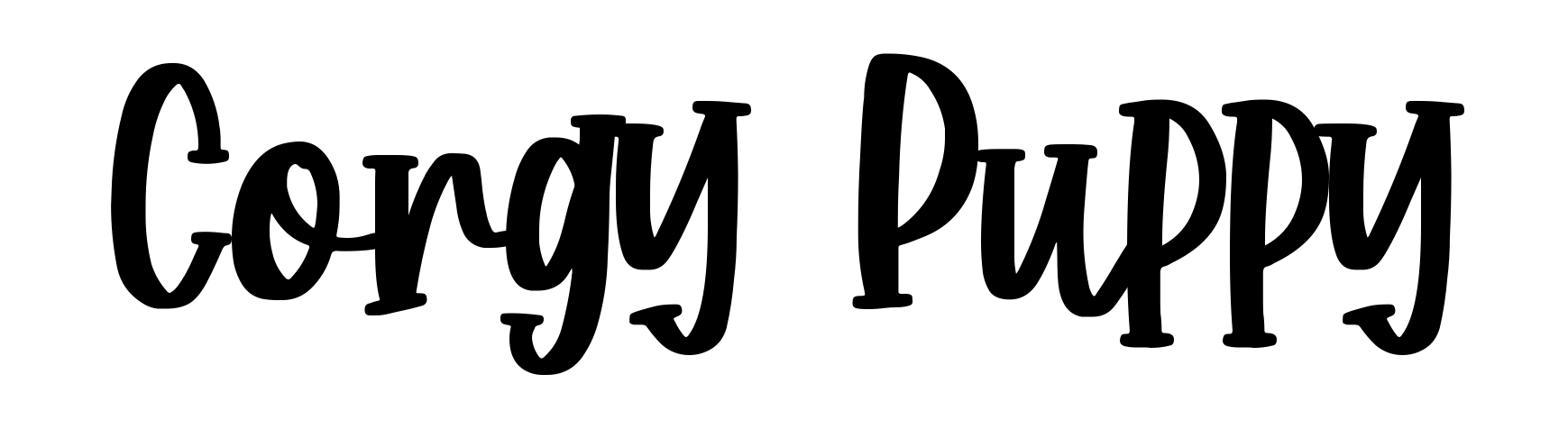 Corgy Puppy