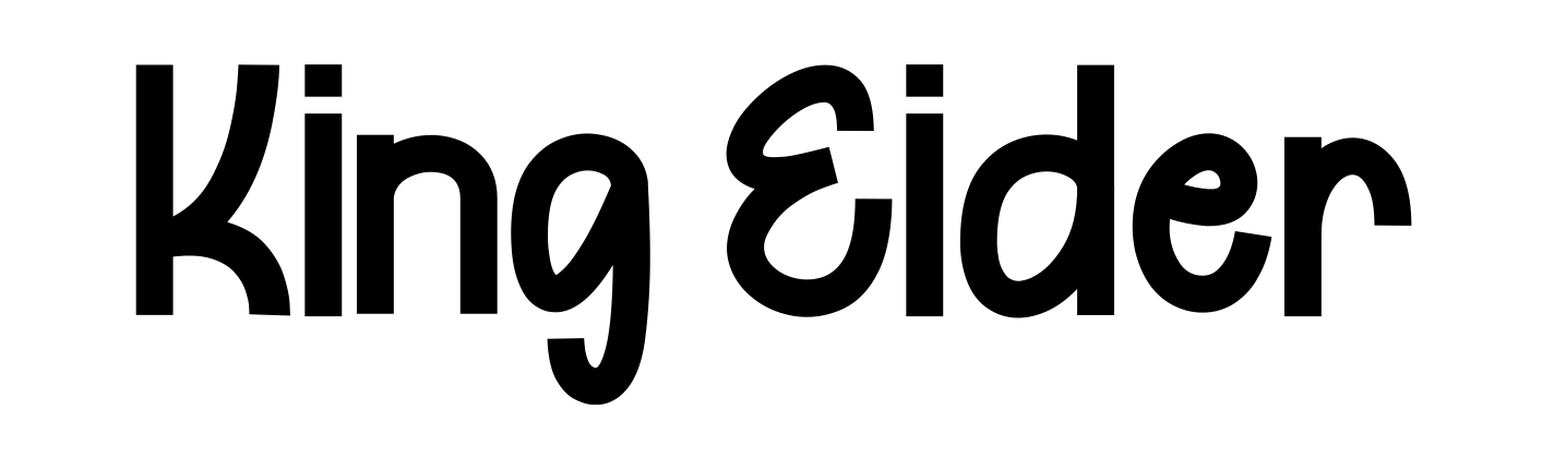 King Eider