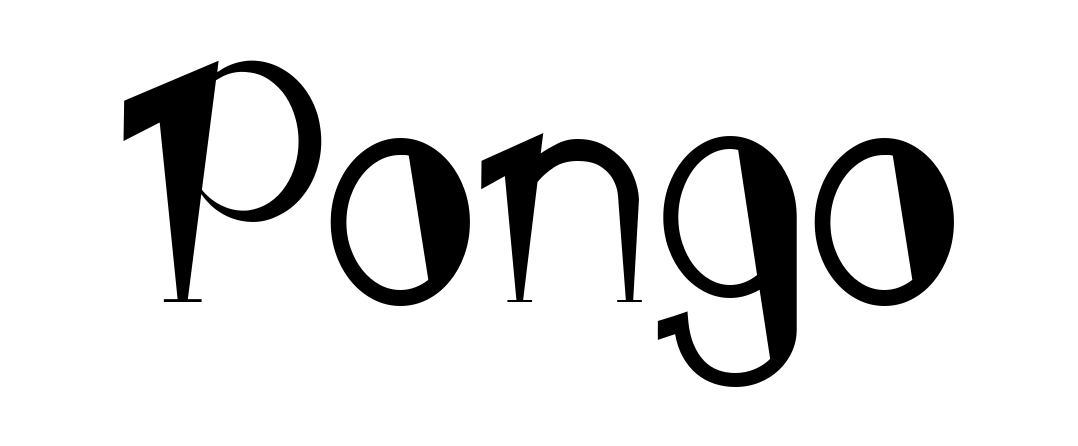 Pongo