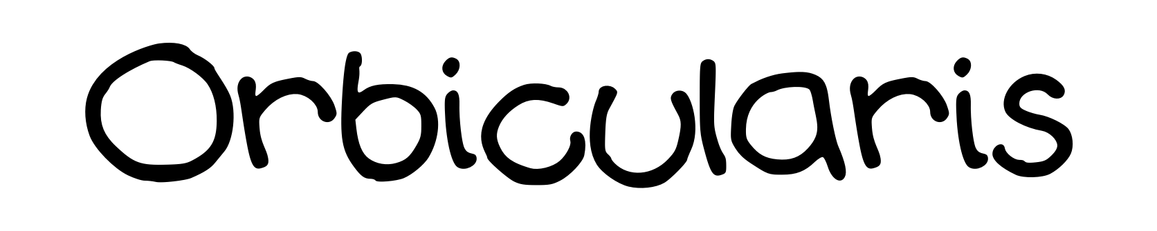 Orbicularis