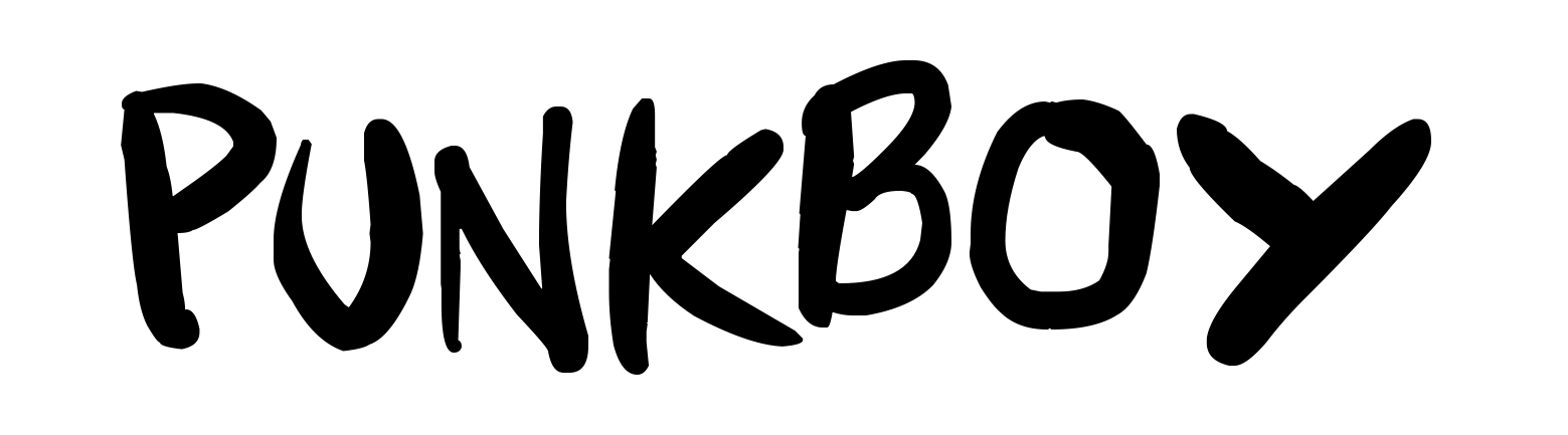 Punkboy