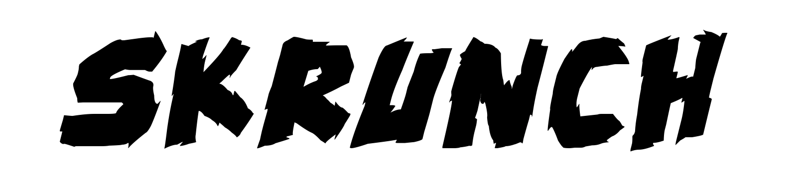 Skrunch