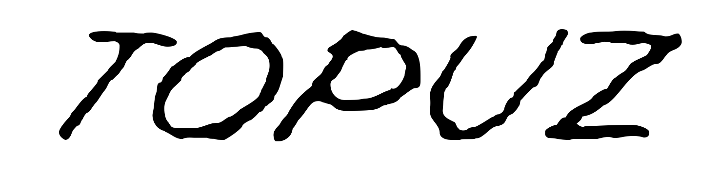 Topuz