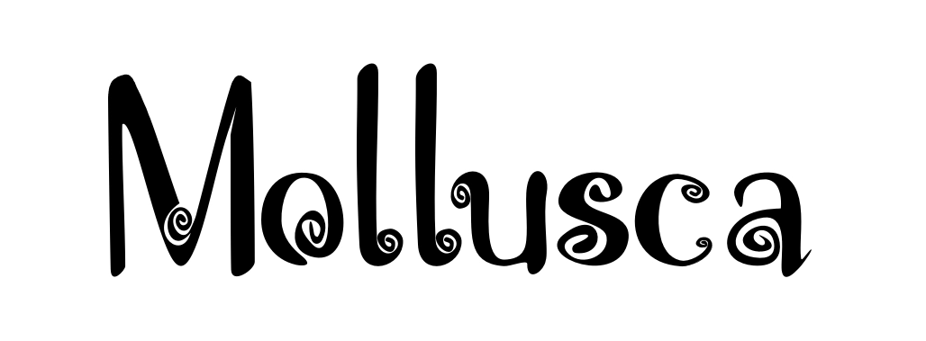 Mollusca