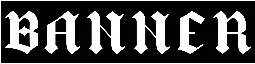 Banner
