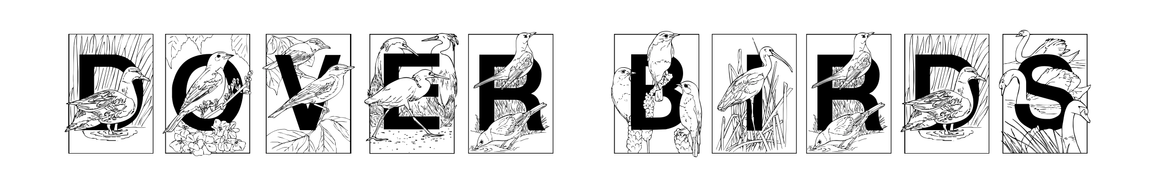 Dover Birds