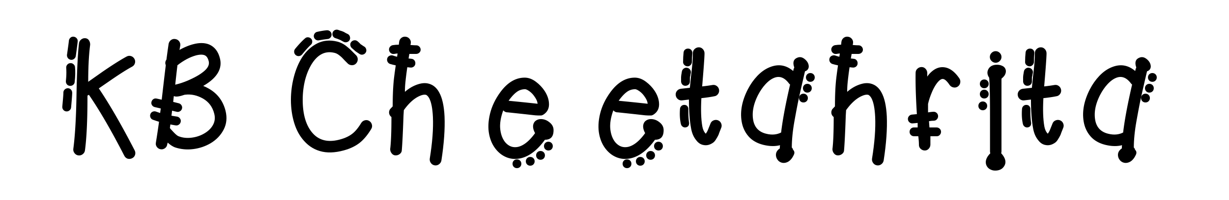 KB Cheetahrita