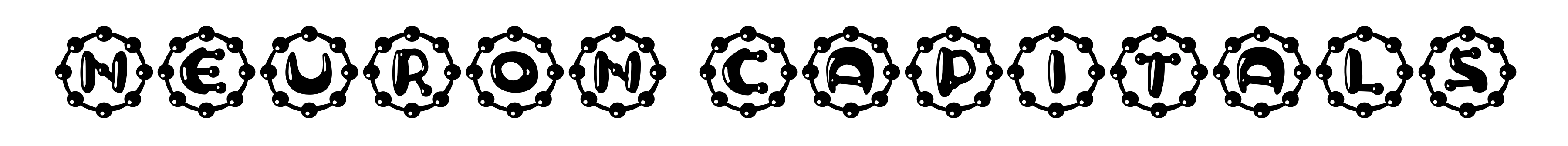 Neuron Capitals