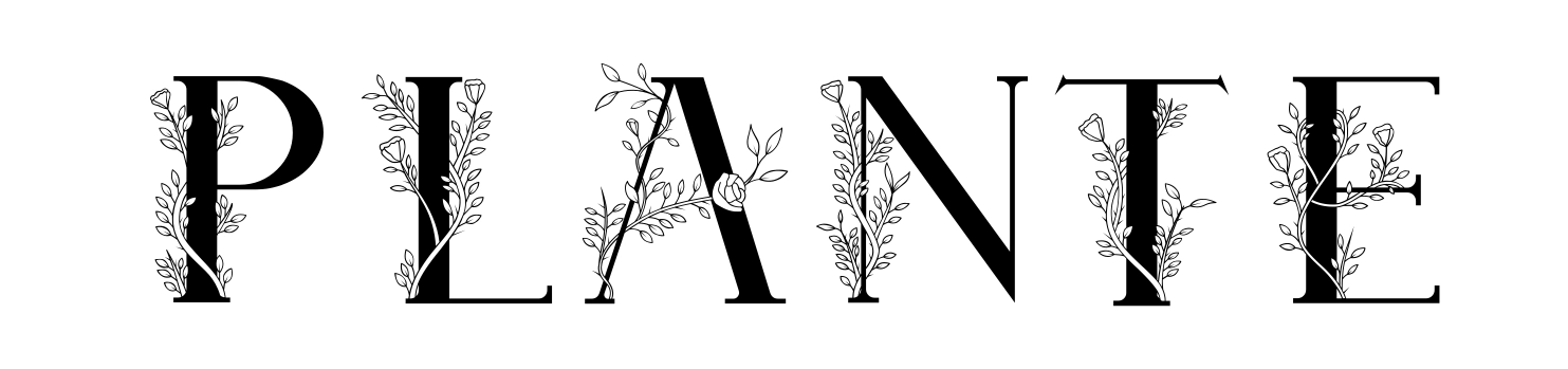 Plante