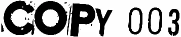 Copy 003