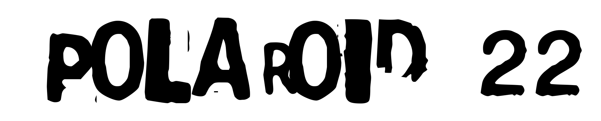 Polaroid 22