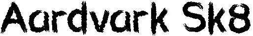 Aardvark Sk8