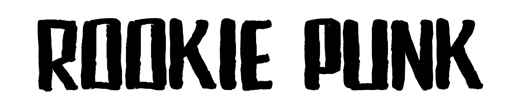 Rookie Punk