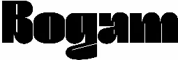 Bogam
