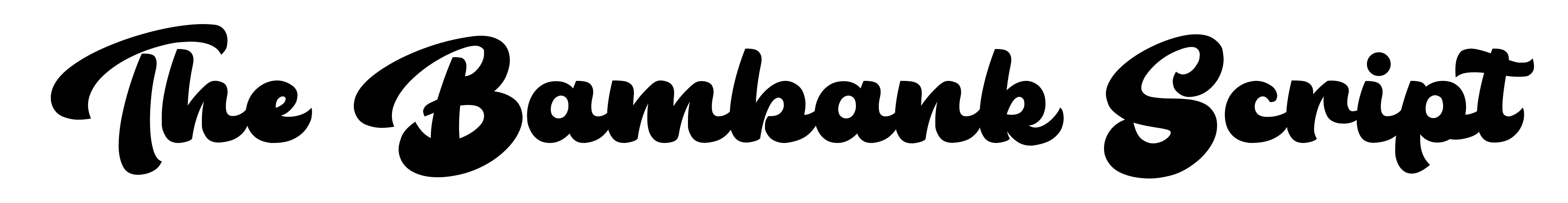 The Bambank Script