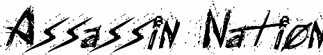 Assassin Nation