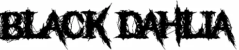 Black Dahlia