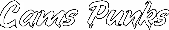 Cams Punks