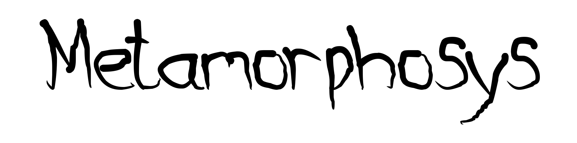 Metamorphosys