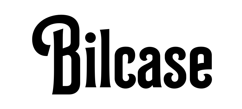 Bilcase