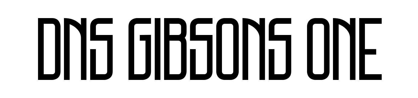 DNS Gibsons One