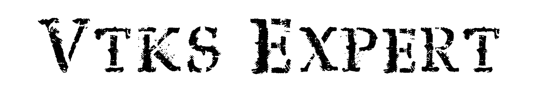 Vtks Expert