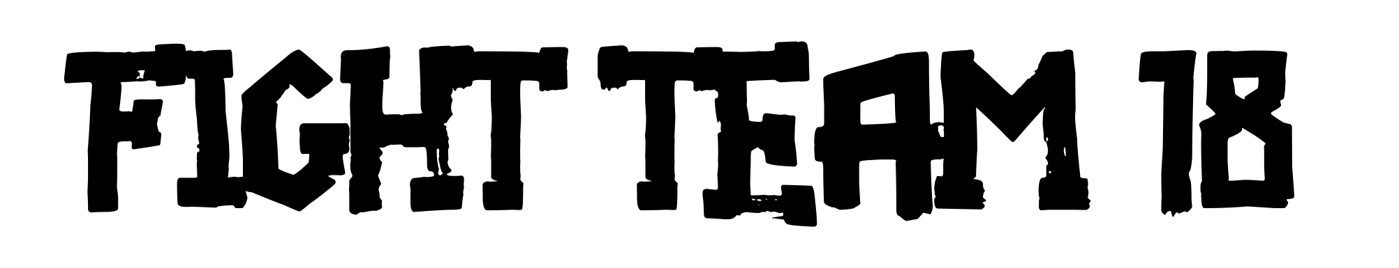 Fight team 18