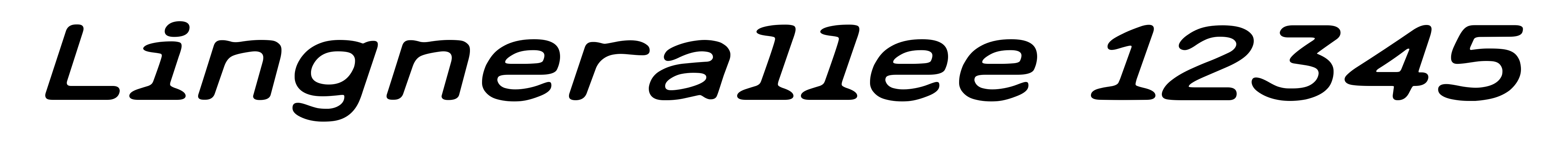 Lingnerallee 12345