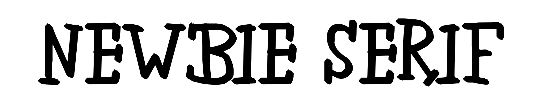Newbie Serif