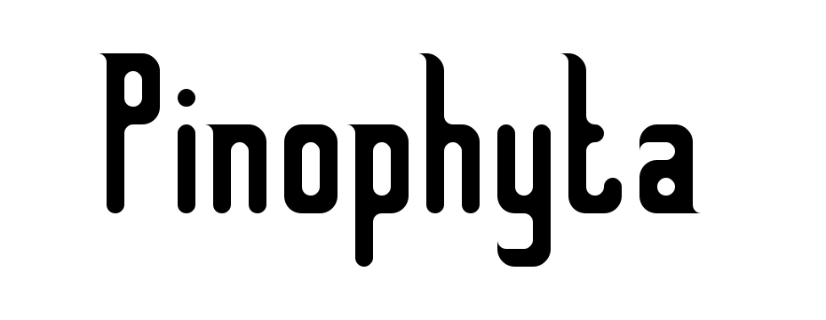 Pinophyta