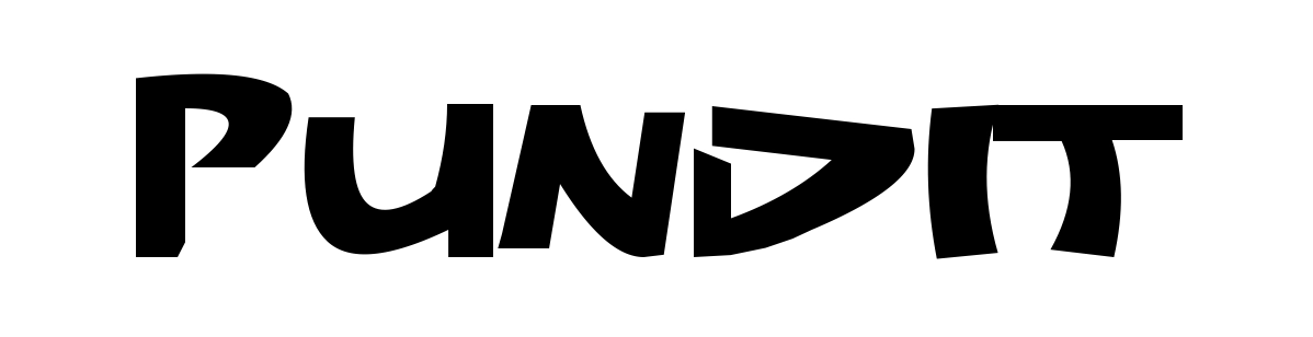 Pundit