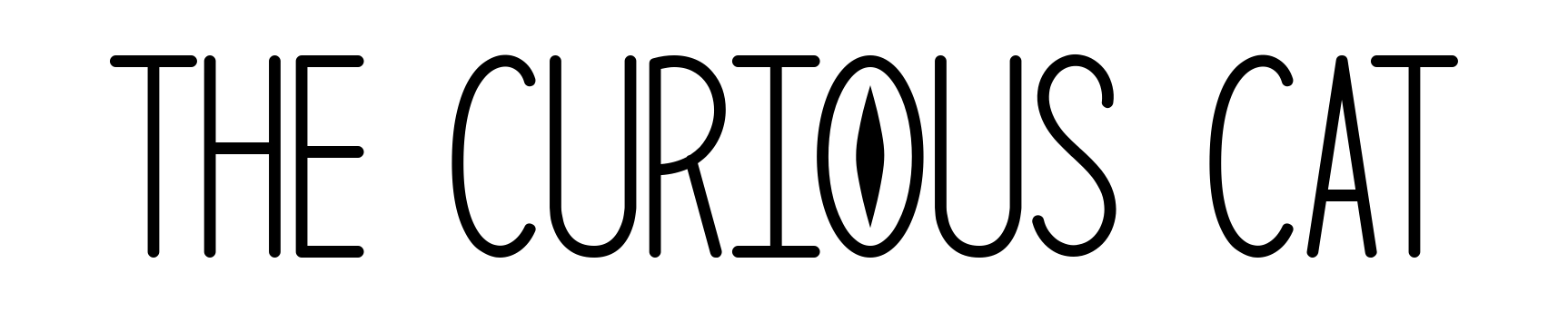 The Curious Cat