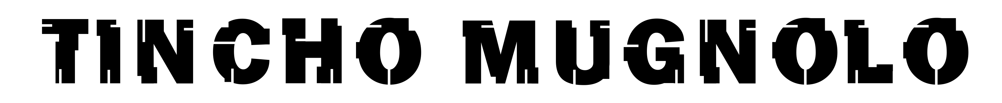 Tincho Mugnolo