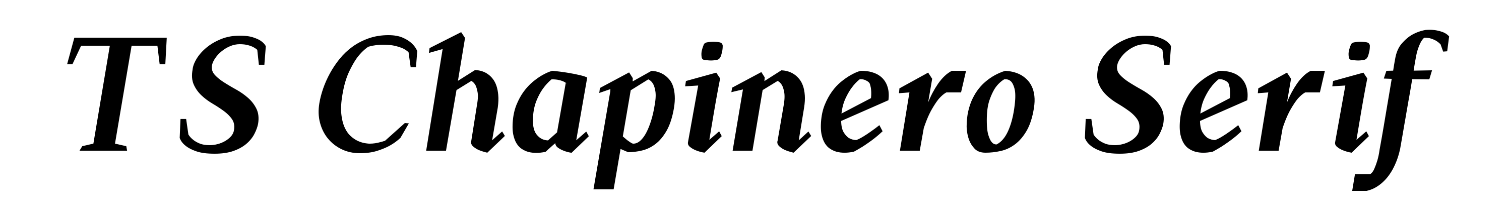 TS Chapinero Serif