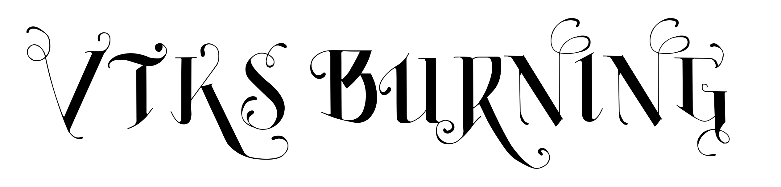 Vtks Burning