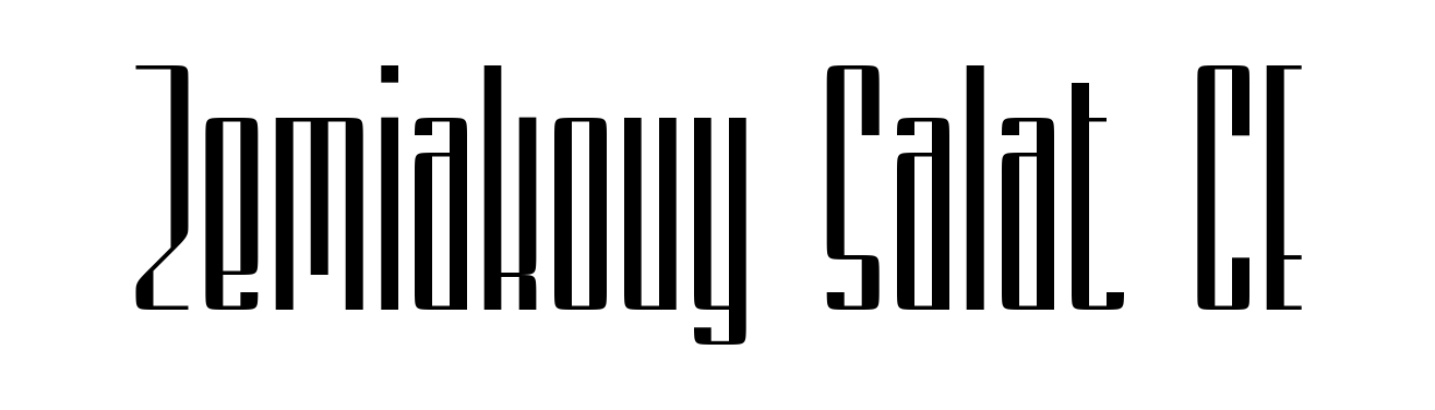 Zemiakovy Salat CE