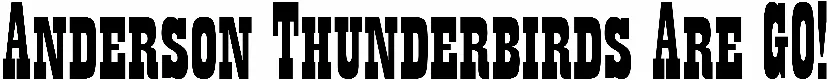 Anderson Thunderbirds Are GO!