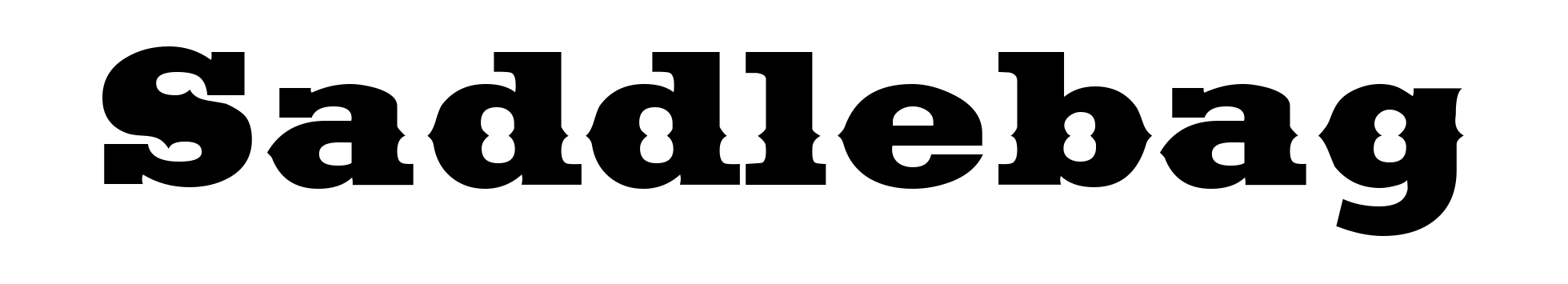 Saddlebag
