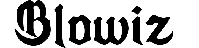Blowiz