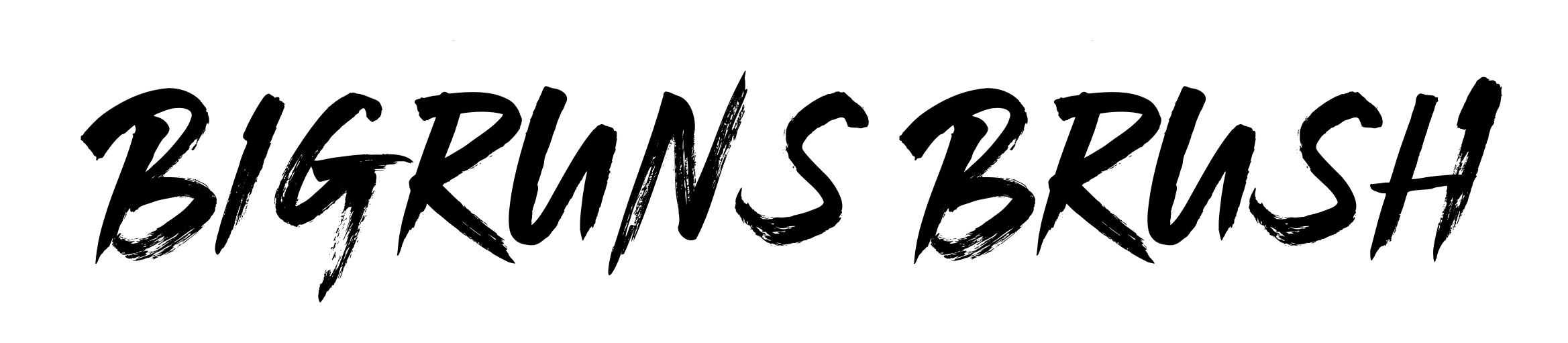Bigruns Brush