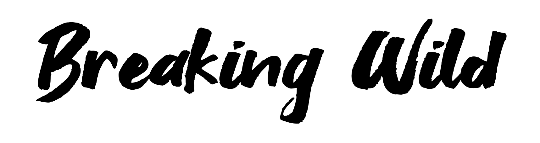 Breaking Wild