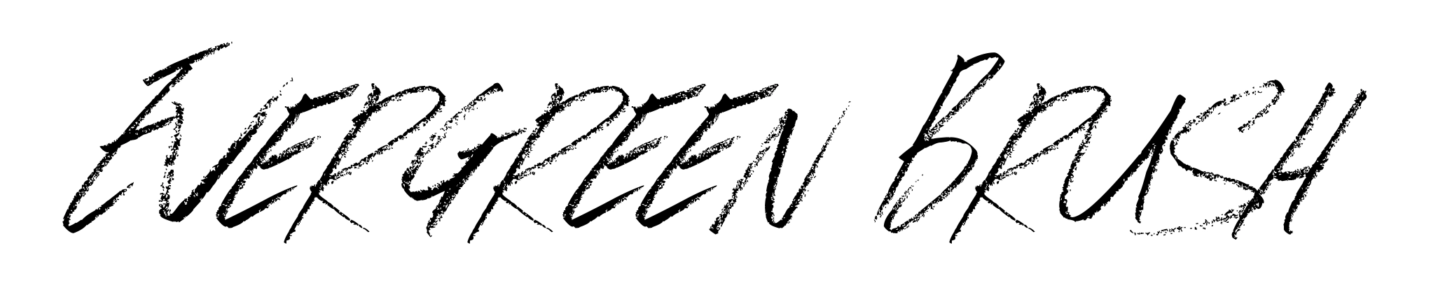 Evergreen Brush