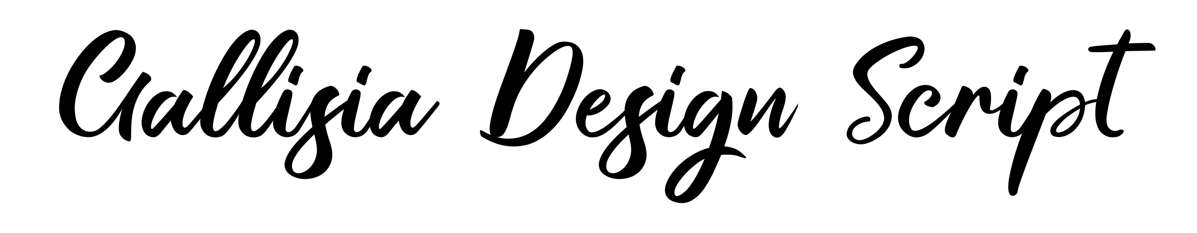 Gallisia Design Script