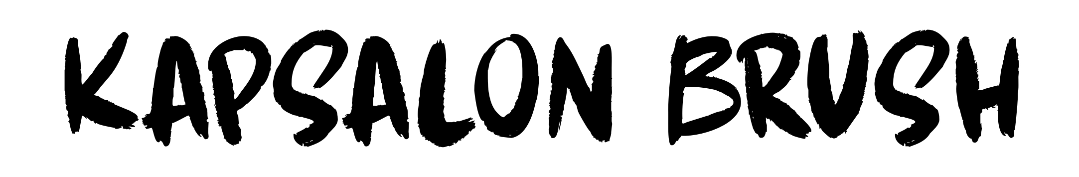 Kapsalon Brush