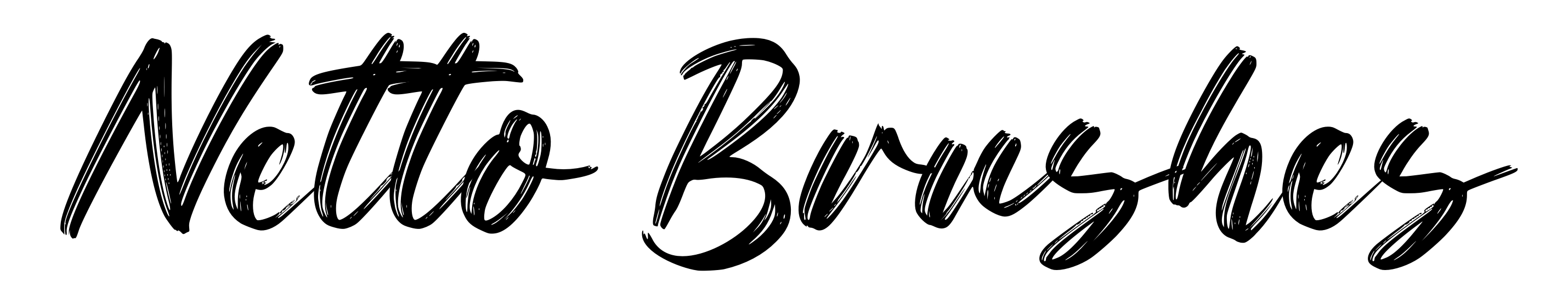 Netto Brushes