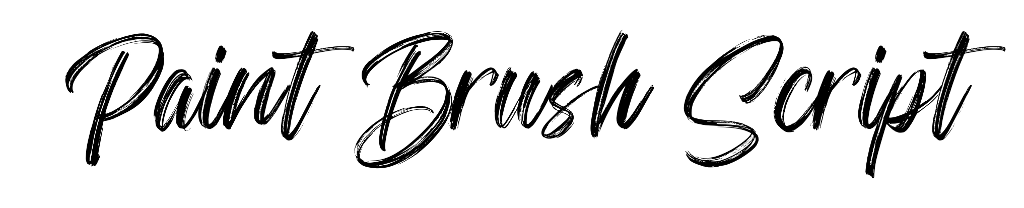 Paint Brush Script